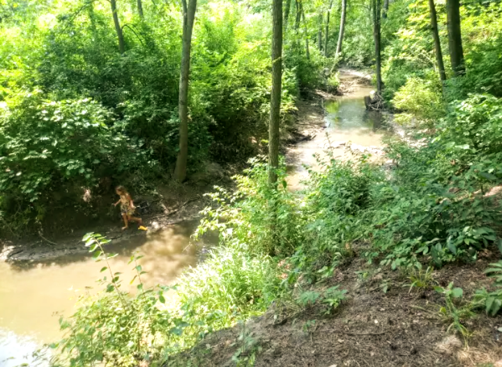 Camping near Wesleyan Woods Camp: Pennell Farms, Millington, Michigan