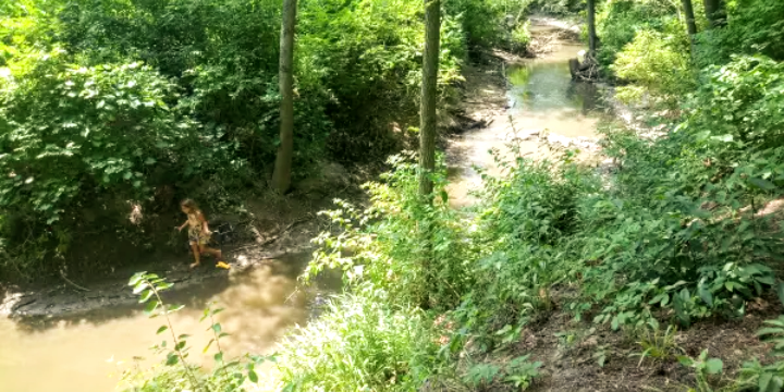 Camper submitted image from Pennell Farms