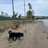 Review photo of Mission Bay RV Resort by Juliet L., April 21, 2023