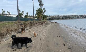 Juliet L.'s photo of camping with pets at Mission Bay RV Resort near Del Mar, CA