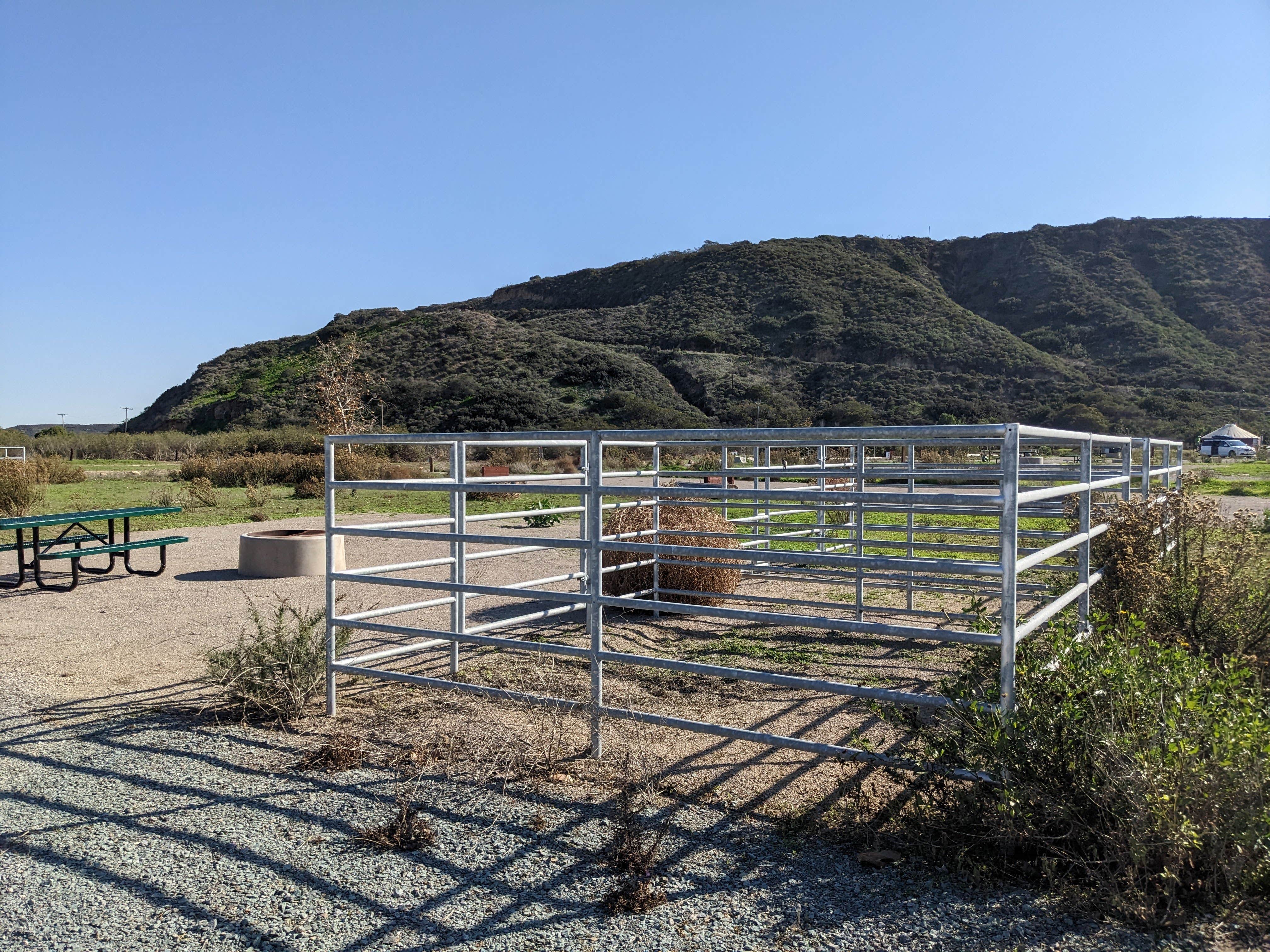 Camper submitted image from Tijuana River Valley Regional Park Campground - 5