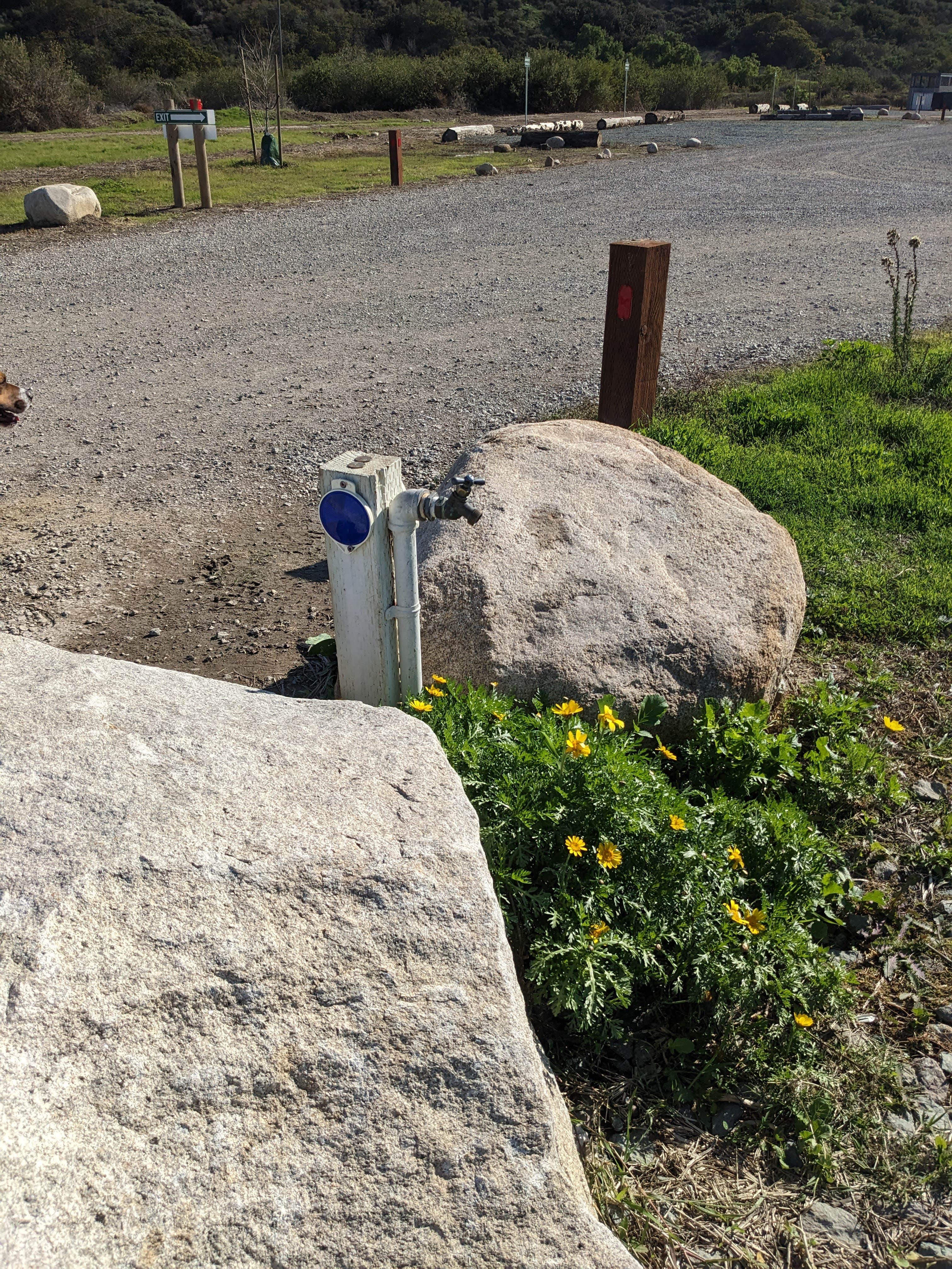 Laura M.'s photo of camping with pets at Tijuana River Valley Regional Park Campground near Spring Valley, CA