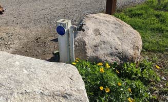 Laura M.'s photo of camping with pets at Tijuana River Valley Regional Park Campground near Imperial Beach, CA