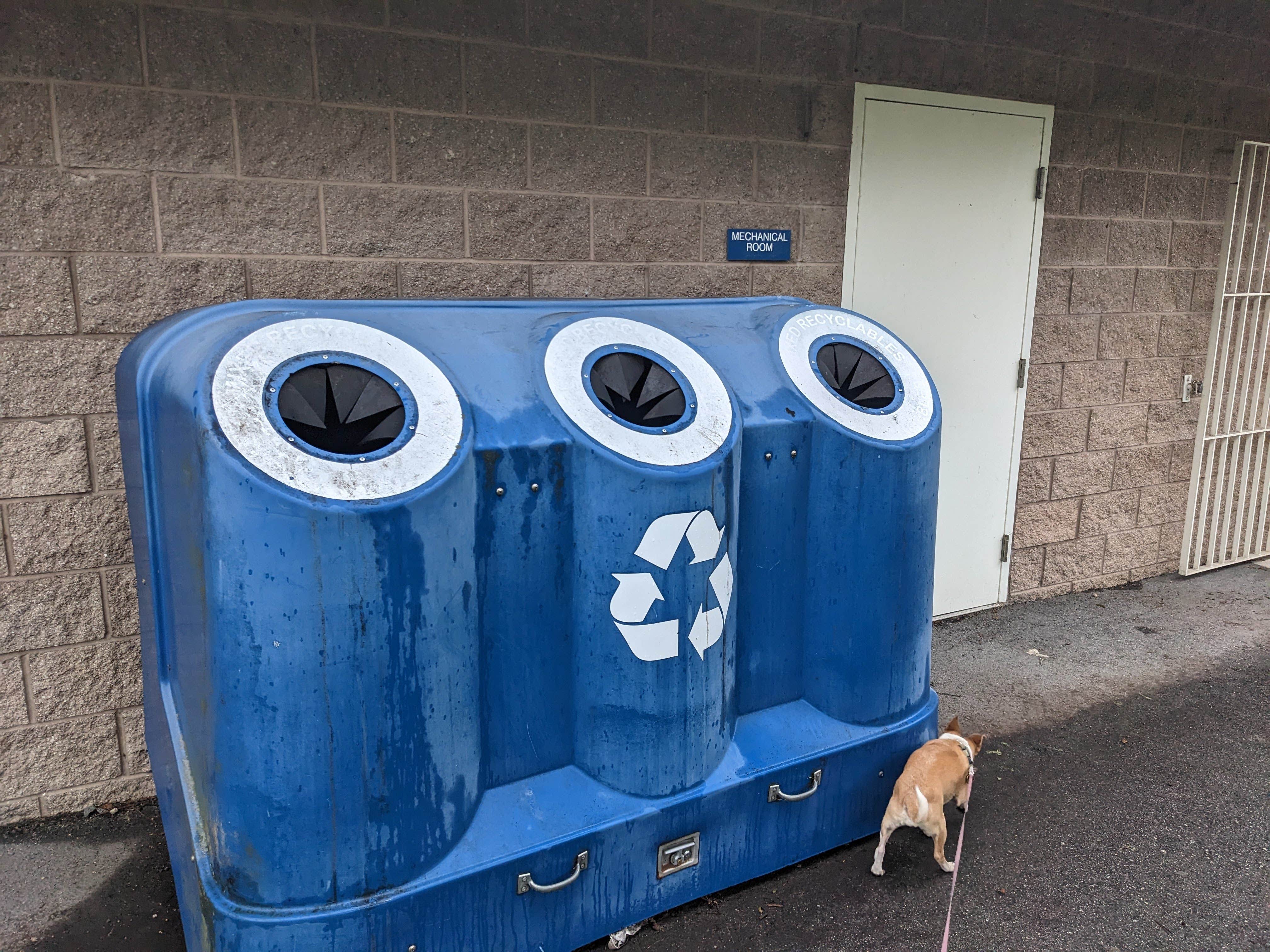 Laura M.'s photo of camping with pets at Veteran's Memorial Park Campground near Carmel Valley Village, CA