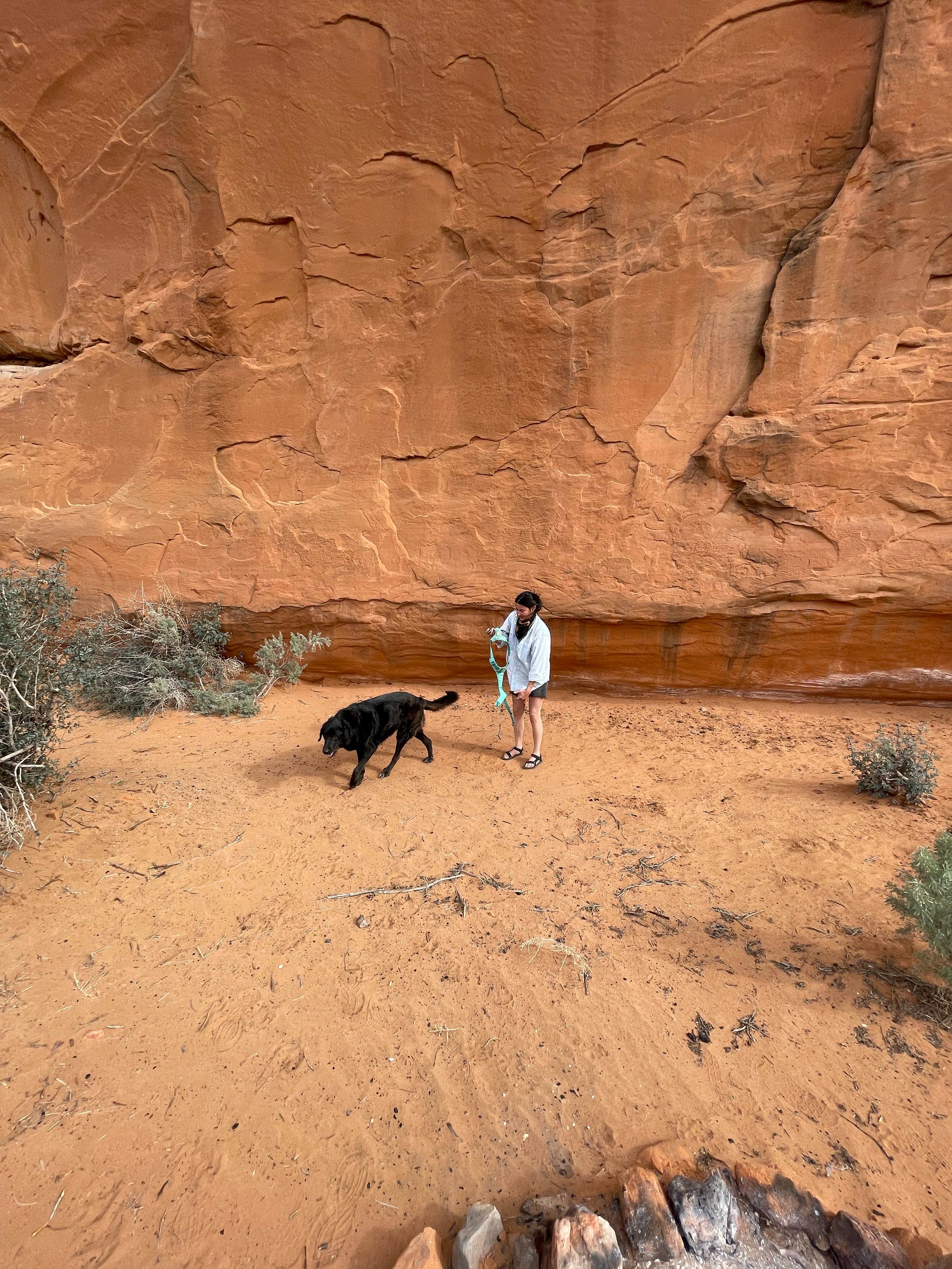 Camper-submitted photo at Harris Wash Dispersed near Escalante, UT
