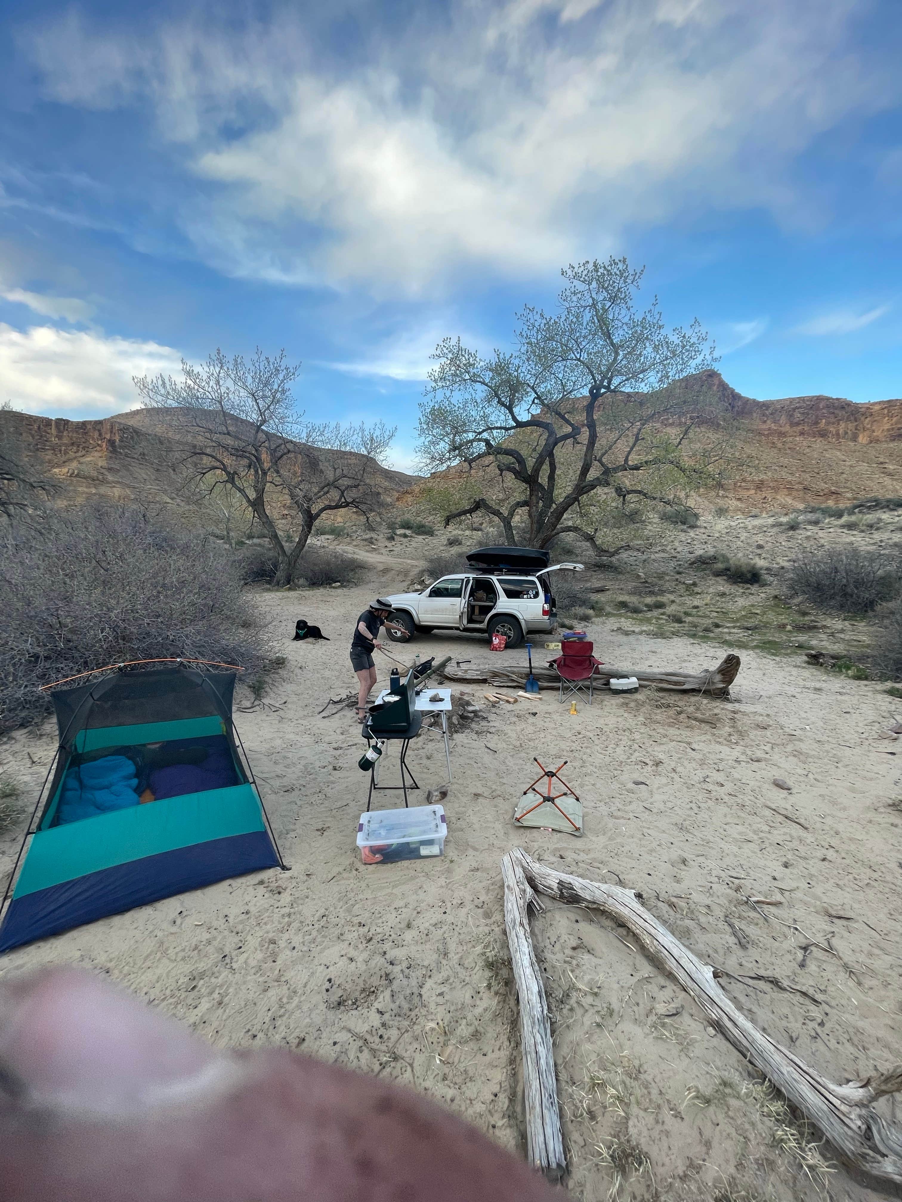 Anwyn P.'s photo at Swasey's Beach Campground — Desolation Canyon near Sunnyside, UT