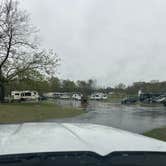 Review photo of Palomino RV Resort by Beth R., April 21, 2023