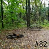 Review photo of Chenango Valley State Park Campground by Mary S., October 6, 2018