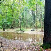 Review photo of Chenango Valley State Park Campground by Mary S., October 6, 2018