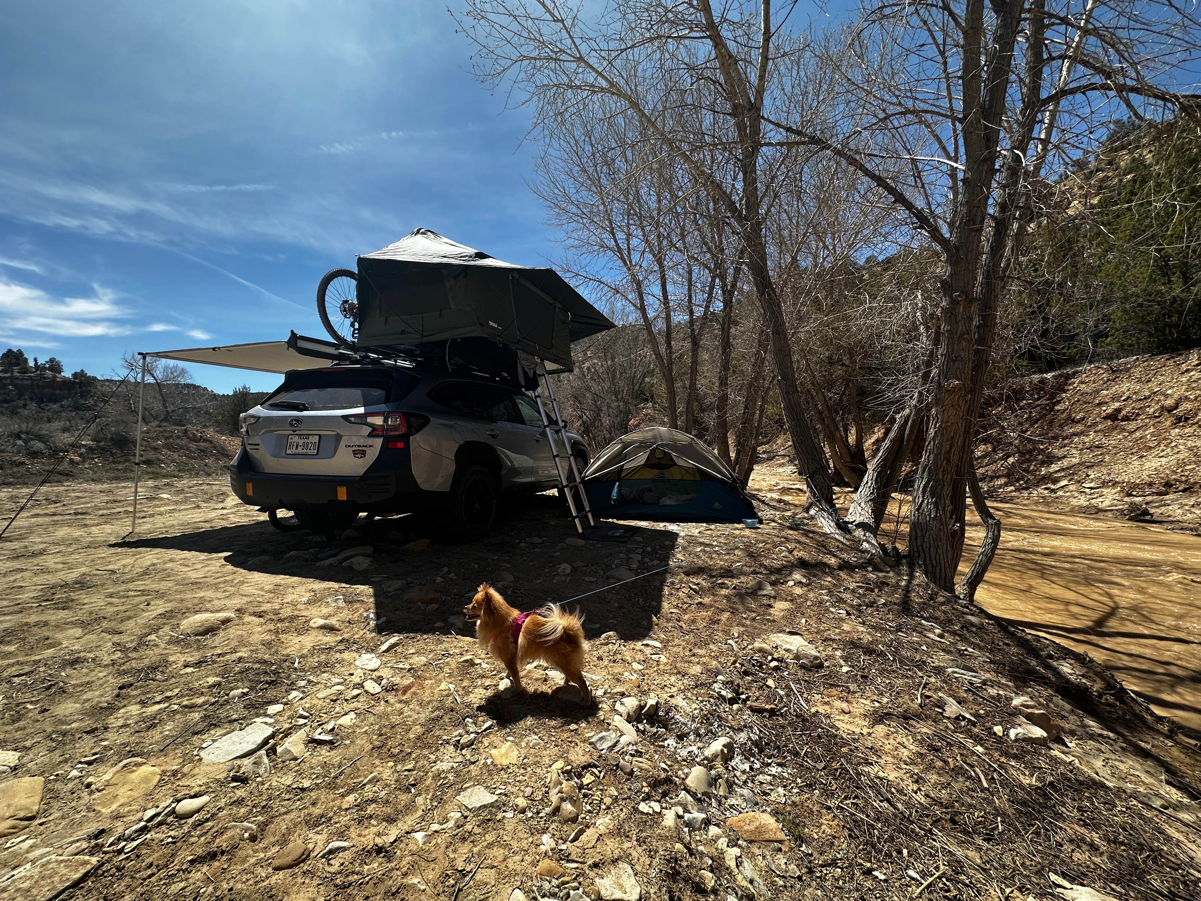 Taylor S.'s photo of camping with pets at Twin Hollows Canyon near Kanab, UT