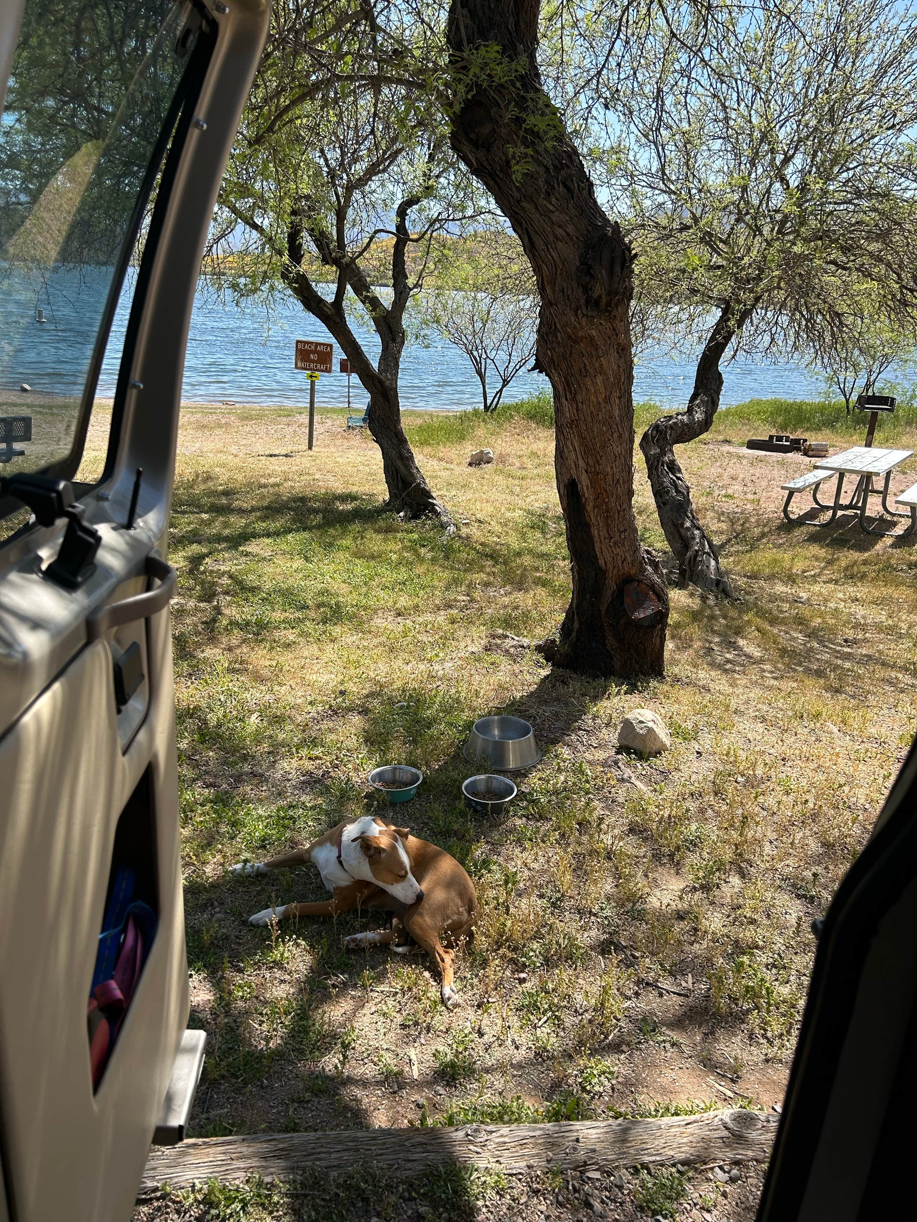 April N.'s photo of camping with pets at Upper Burnt Corral near Tonto National Forest