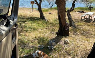 April N.'s photo of camping with pets at Upper Burnt Corral near Tonto National Forest