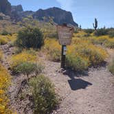 Review photo of Lost Dutchman State Park Campground by Shep S., April 22, 2023