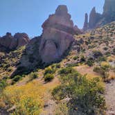 Review photo of Lost Dutchman State Park Campground by Shep S., April 22, 2023