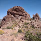 Review photo of Lost Dutchman State Park Campground by Shep S., April 22, 2023