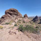 Review photo of Lost Dutchman State Park Campground by Shep S., April 22, 2023