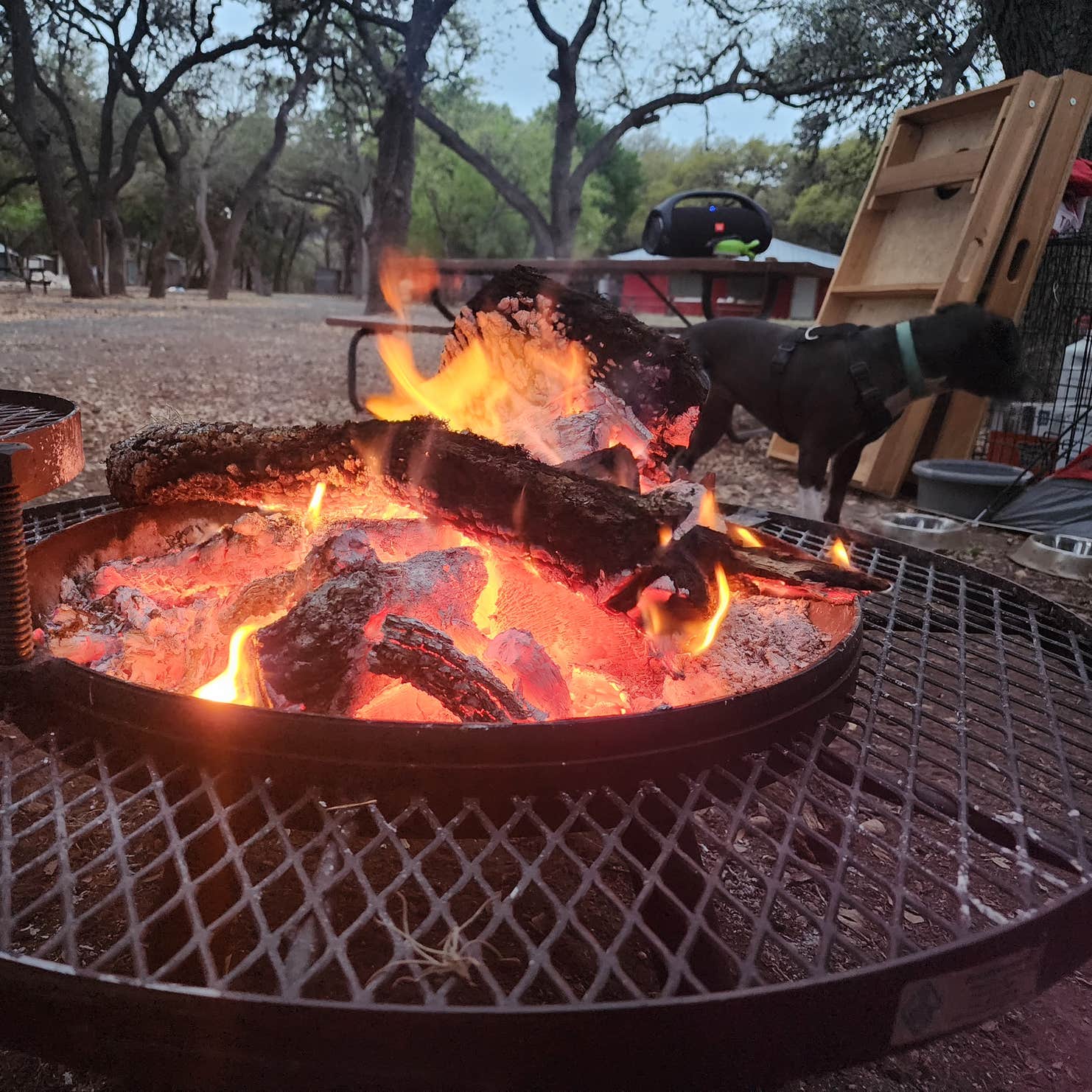 Camp Cold Springs Concan, TX