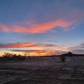 Review photo of Kaibab National Forest by Clean Slate D., April 22, 2023