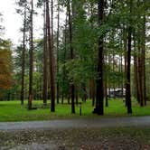 Review photo of Chenango Valley State Park Campground by Mary S., October 6, 2018