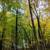 Review photo of Nerstrand Big Woods State Park Campground by Scott G., October 6, 2018