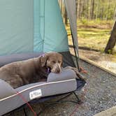 Review photo of Cades Cove Campground by Heather , April 22, 2023