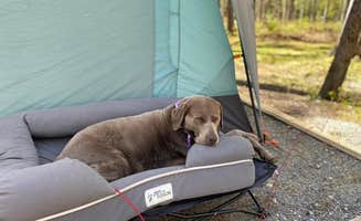 Heather's photo of glamping accommodations at Cades Cove Campground near Gatlinburg, TN