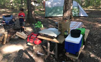 Jason S.'s photo at Oak Ridge Campground — Prince William Forest Park near Elkwood, VA