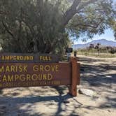 Review photo of Tamarisk Grove Campground — Anza-Borrego Desert State Park by Laura M., April 22, 2023