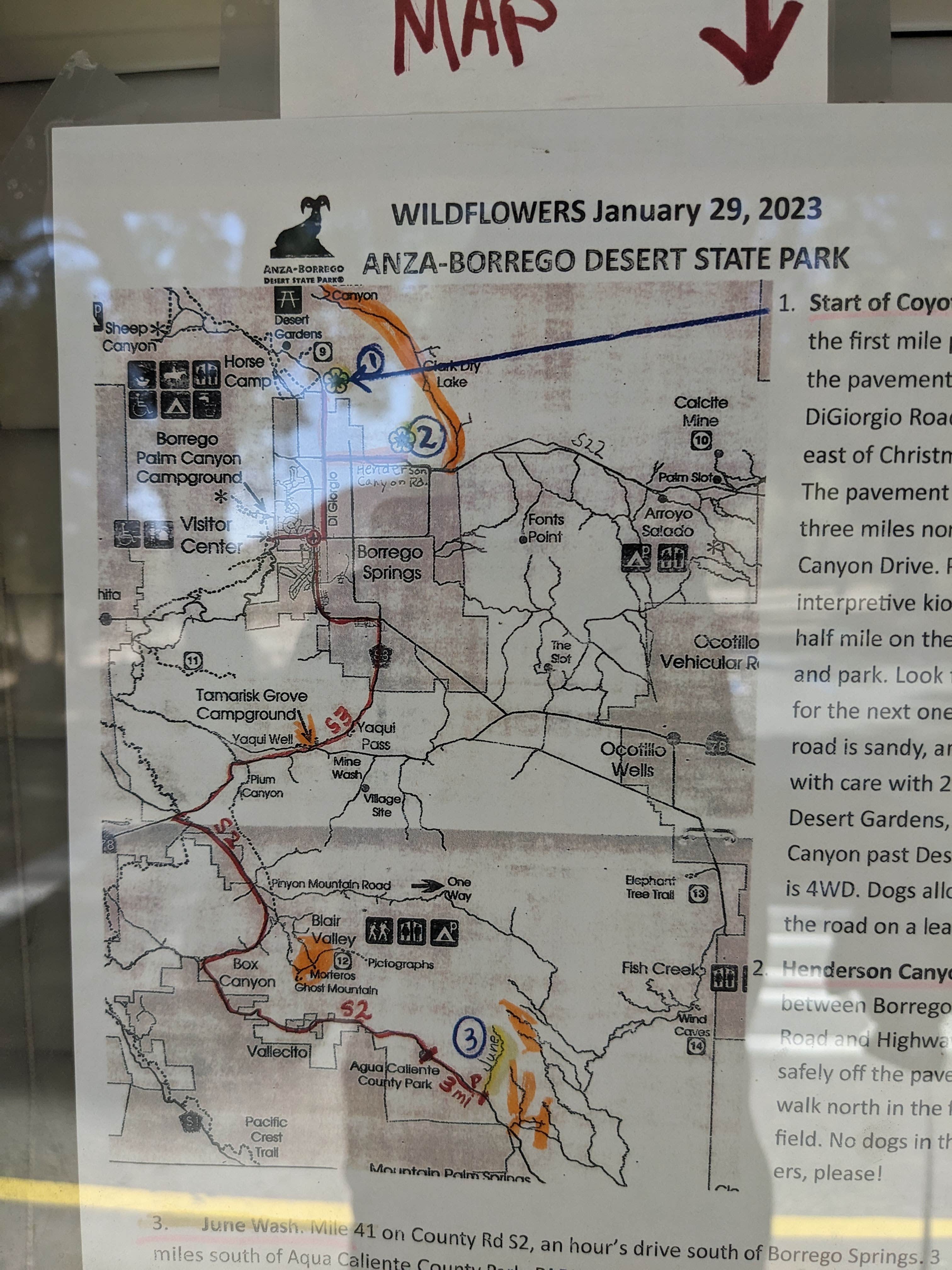 Camper-submitted photo at Tamarisk Grove Campground — Anza-Borrego Desert State Park near Borrego Springs, CA