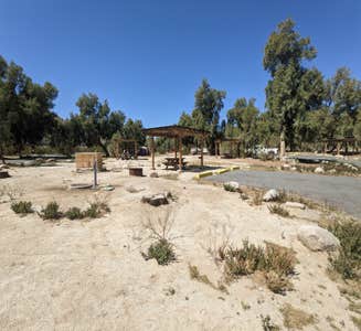 Camper-submitted photo from Tamarisk Grove Campground — Anza-Borrego Desert State Park