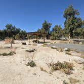 Review photo of Tamarisk Grove Campground — Anza-Borrego Desert State Park by Laura M., April 22, 2023