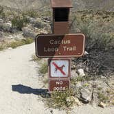 Review photo of Tamarisk Grove Campground — Anza-Borrego Desert State Park by Laura M., April 22, 2023