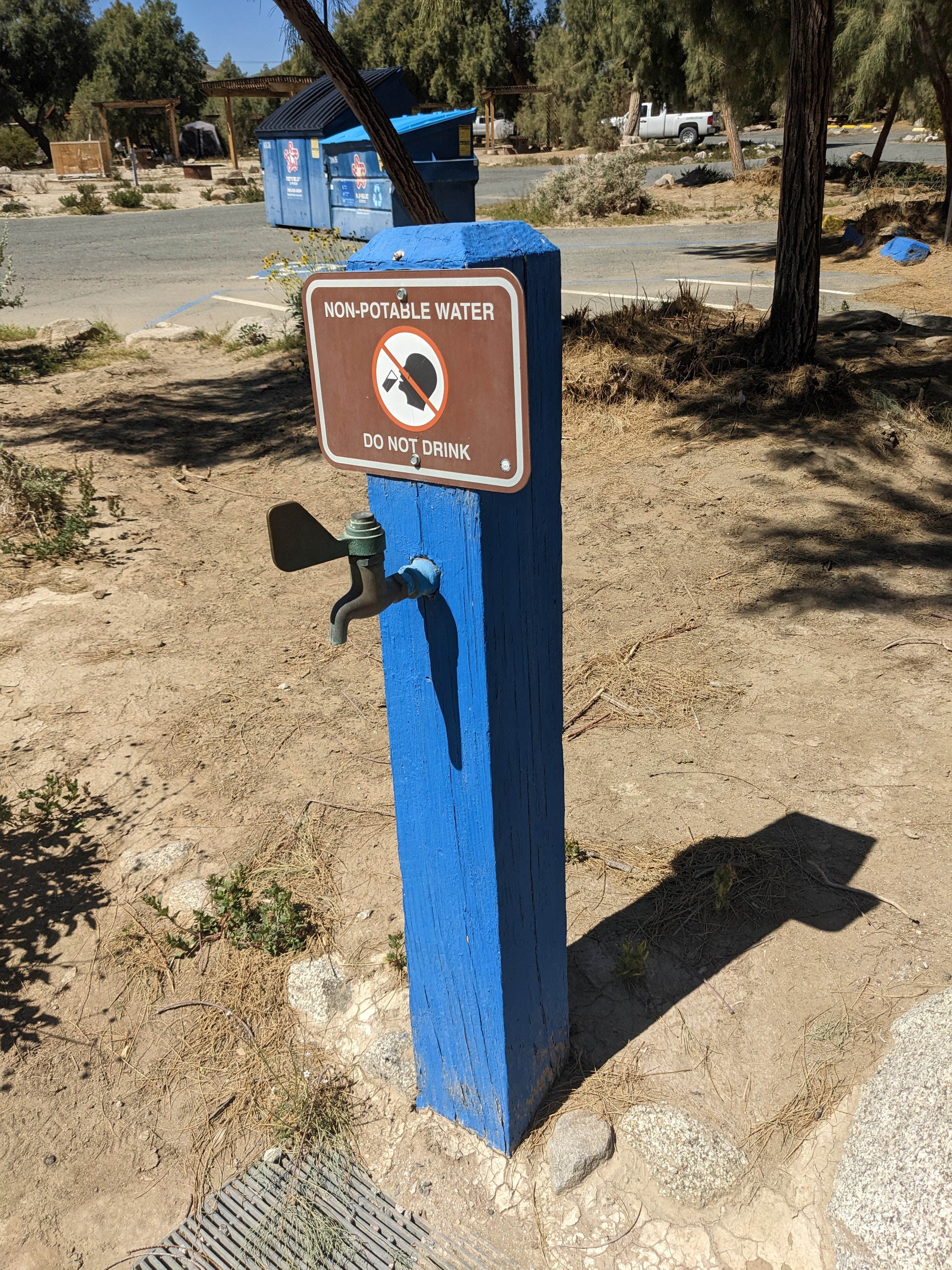 Camper submitted image from Tamarisk Grove Campground — Anza-Borrego Desert State Park - 1