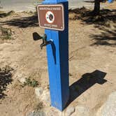 Review photo of Tamarisk Grove Campground — Anza-Borrego Desert State Park by Laura M., April 22, 2023
