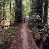 Review photo of Burlington Campground — Humboldt Redwoods State Park by Laura B., October 6, 2018