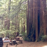 Review photo of Burlington - Humboldt Redwoods State Park by Laura B., October 6, 2018