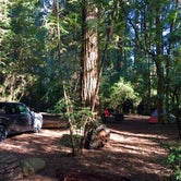 Review photo of Jedidiah Smith Campground — Redwood National Park by Laura B., October 6, 2018