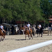 Review photo of Clarcona Horse Park by lisa C., April 22, 2023