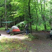 Review photo of Black Mountain Campground - CLOSED INDEFINITELY by Laura B., October 6, 2018