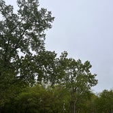 Review photo of Stoney Ridge Campground by Lynzie T., April 22, 2023