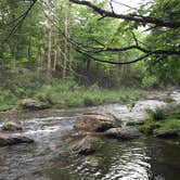 Review photo of Black Mountain Campground - CLOSED INDEFINITELY by Laura B., October 6, 2018