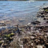 Review photo of Maricopa County Park Lake Pleasant by Justin M., April 23, 2023