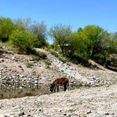 Review photo of Maricopa County Park Lake Pleasant by Justin M., April 23, 2023