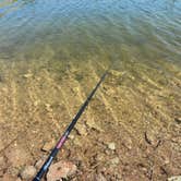 Review photo of Maricopa County Park Lake Pleasant by Justin M., April 23, 2023