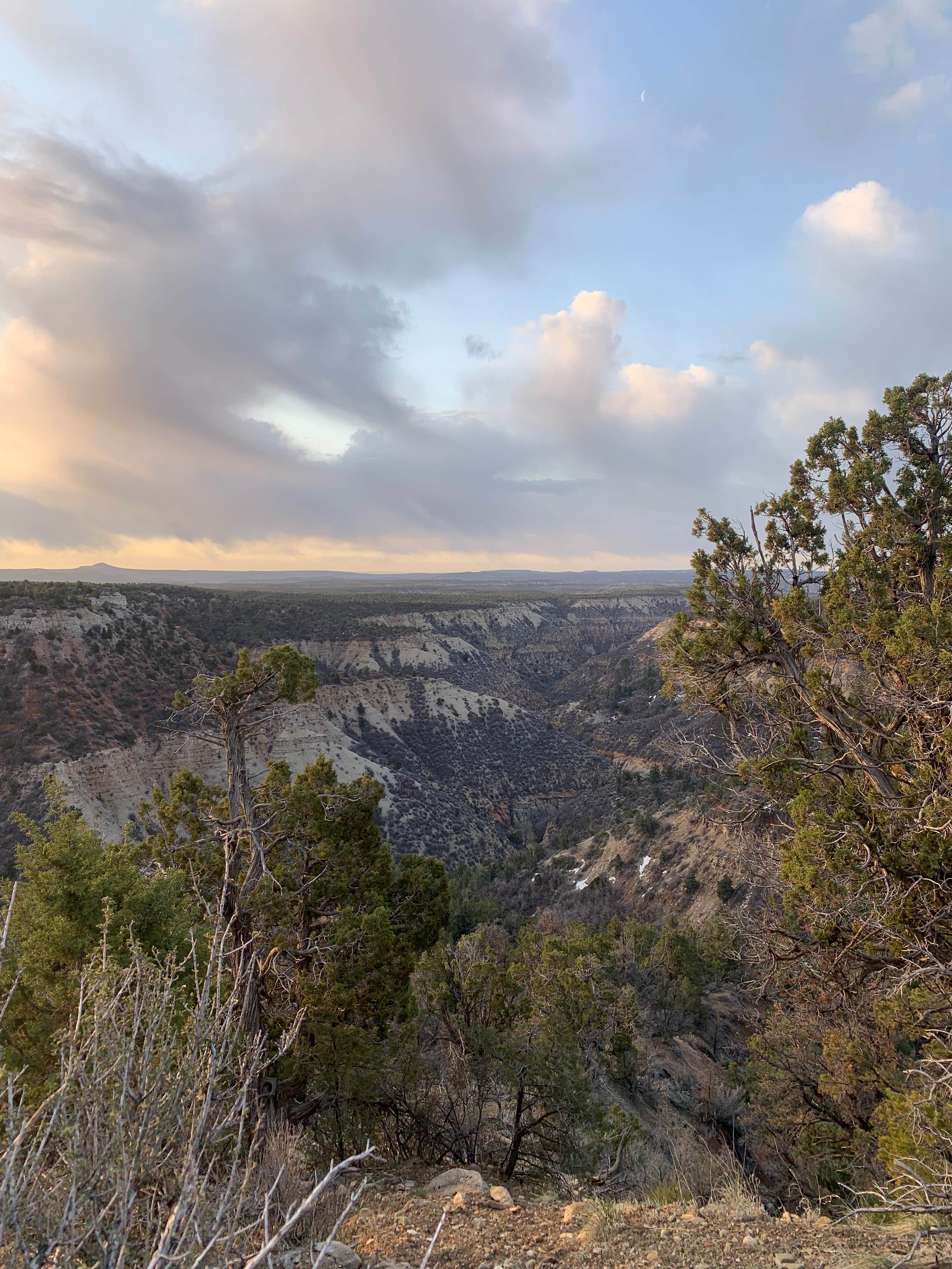 Amy A.'s photo of a dispersed camping area at Archers Overlook East Zion near Orderville, UT