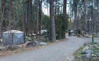 Christian D.'s photo at Pine Flat Campground West near Munds Park, AZ