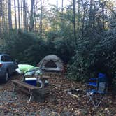 Review photo of Honey Bear Campground by Laura B., October 6, 2018