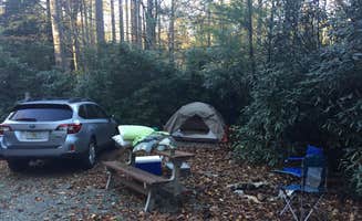 Laura B.'s photo at Honey Bear Campground near Beech Mountain, NC