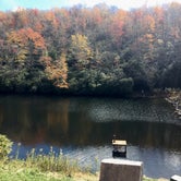 Review photo of Honey Bear Campground by Laura B., October 6, 2018