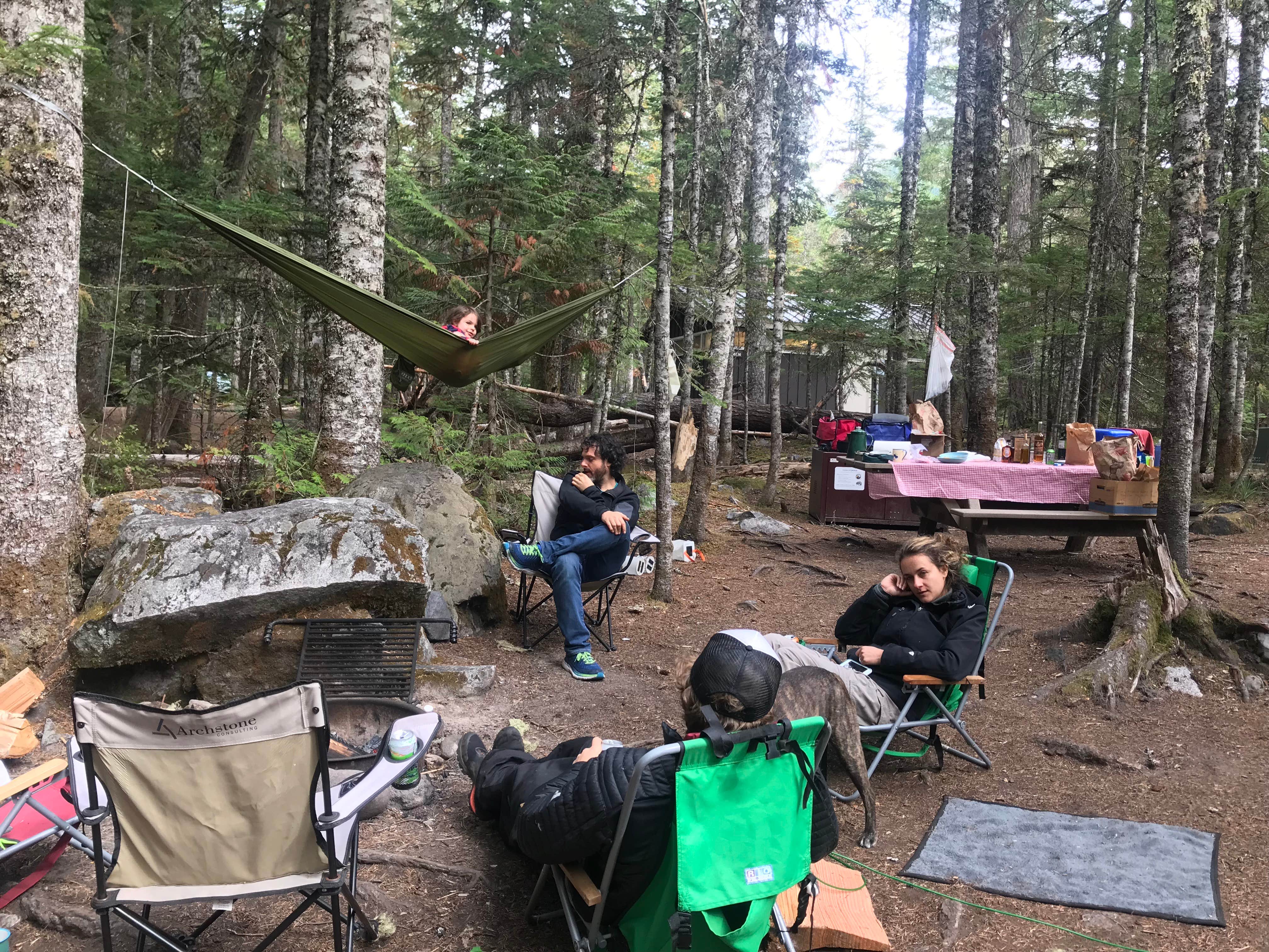 Sarah S.'s photo at Cougar Rock Campground — Mount Rainier National Park near Packwood, WA